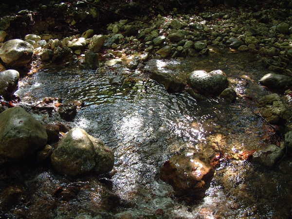 La luce gioca con l''acqua